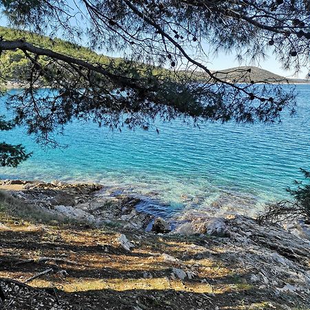 Villa Long Island Luxury Residence, Sali Dugi Otok-Private Parking,Next To Beach Extérieur photo
